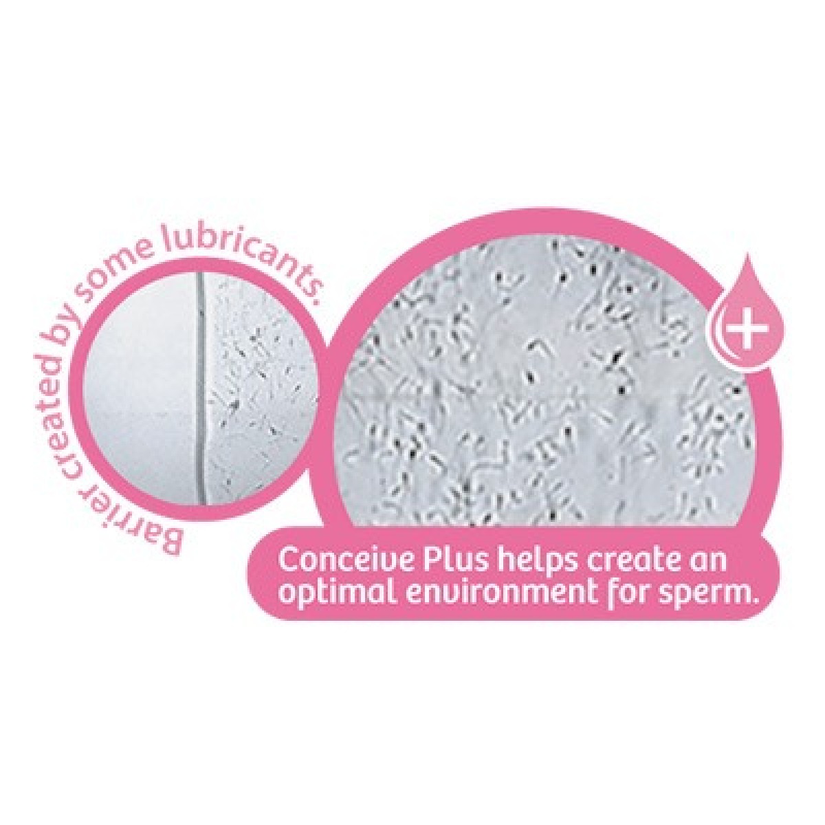 Conceive Plus 助孕潤滑劑 - Conceive Plus 受孕潤滑劑 (75ml + 充推管 8枝裝)